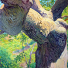 Ecstatic Plane Tree Dancing In The Afternoon Sun - David Shutt